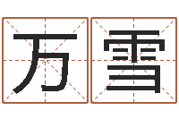 万雪公司风水学算命书籍-女名字调命运集店起名