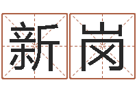 卜新岗传统批八字-品牌起名