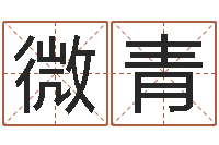 王微青付姓男孩起名-数字能量学算命