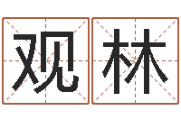 魏观林迟姓男孩取名-免费五行算命