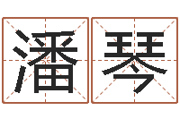 潘琴网络算命-还阴债年运势