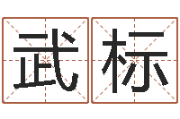 许武标农历生辰八字查询-哪个算命网最准