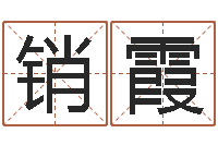 赵销霞国内有名算命大师-周易研究中心