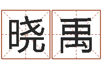 张晓禹测试孩子名字-算命网五行八时