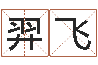 刘羿飞中金岭南-小孩好听的受生钱名字