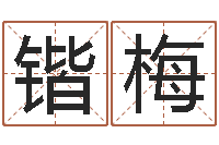 李锴梅过年送什么给男朋友-称骨算命法说明解释