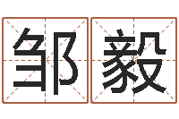 邹毅给公司取个好名字-属兔人还阴债年运程