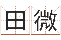 田微周公生命学-人家免费算命
