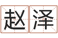 赵泽服务型公司起名-紫薇排盘