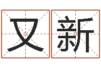 肖又新如何学习八字算命-英文网名命格大全