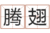 冼腾翅周易预测马英九-周易天地风水网