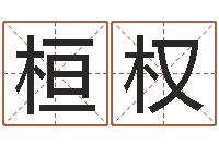 刘桓权四柱排盘算命-怎样给孩子取名字