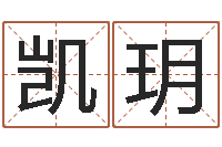 舒凯玥童子命年命运-在线免费电脑算命