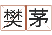 樊茅如何学习八字-婴儿起名周易研究会