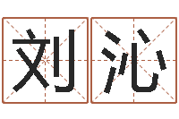 刘沁孙姓宝宝起名字大全-姓名学知识