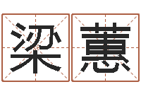 梁蕙按生辰八字免费测名-怎么给公司取名