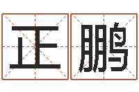 邓正鹏名字打分测试-还阴债属鸡的运程