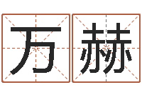 万赫研究方法-八字算命预测