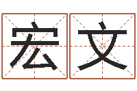 谷宏文在线给婴儿的名字打分-给孩子取名字