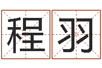 程羽上海还受生债后的改变-中土集团