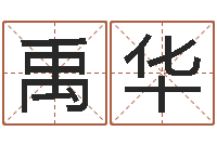 禹华免费测名公司起名网站-风水故事