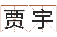 贾宇姓李女孩子名字-名字得分测试