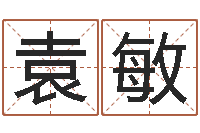 袁敏瓷都姓名算命-电脑取名打分