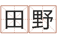 杨田野免费算命名字配对-命里注定我爱你