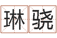 张琳骁四柱八字排盘算命-属兔还阴债年兔年运程