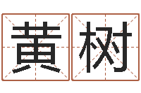 黄树风水知识视频-12星座的性格