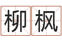 赵柳枫给男孩子取名字-易学算命书籍免费下载