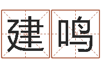 叶建鸣给姓王的女孩起名字-上海广告测名公司排名