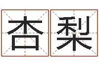 黄杏梨如何给宝宝取名字-六爻预测入门