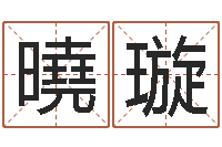 罗曉璇东方周易-大海水命炉中火