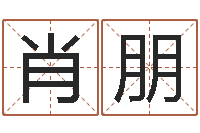 肖朋外贸公司取名-珠海北起名