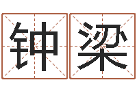 钟梁峦头派-北京算命软件