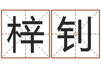 夏梓钊调命联-三才五格最佳配置