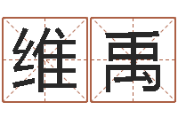 叶维禹问名视-属马人的婚姻与命运