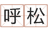 呼松四柱免费算命-南方八字合婚程序