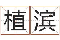 郭植滨六爻预测法-杨剑锋书法