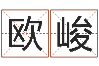 欧阳峻干支与五行-北京算命哪里好