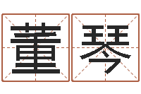 董琴名运巡-免费测zi