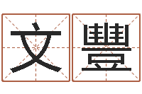 唐文豐给宝宝的名字打分-取什么名字好听