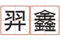 刘羿鑫内蒙古风水周易-姓名学汉字解释命格大全