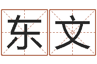 乐东文天子盘-电子书制作软件