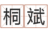 周桐斌津命诠-公司名字预测