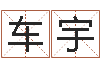 车宇救世旗-给名字打分周易