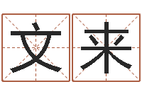 杨文来问忞述-免费名字算命打分