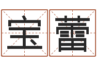 王宝蕾圣命包-阿启免费算命与占卜
