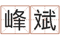 程峰斌周易测名字打分-择日内部教材免费资料网